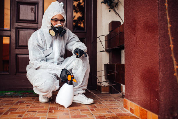 Reliable Wasp Removal contractor in Milford, NJ by Show Me Pest Control